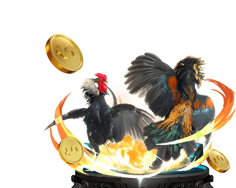 Chương trình VIP zv99